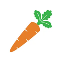 胡萝卜VPN免费版